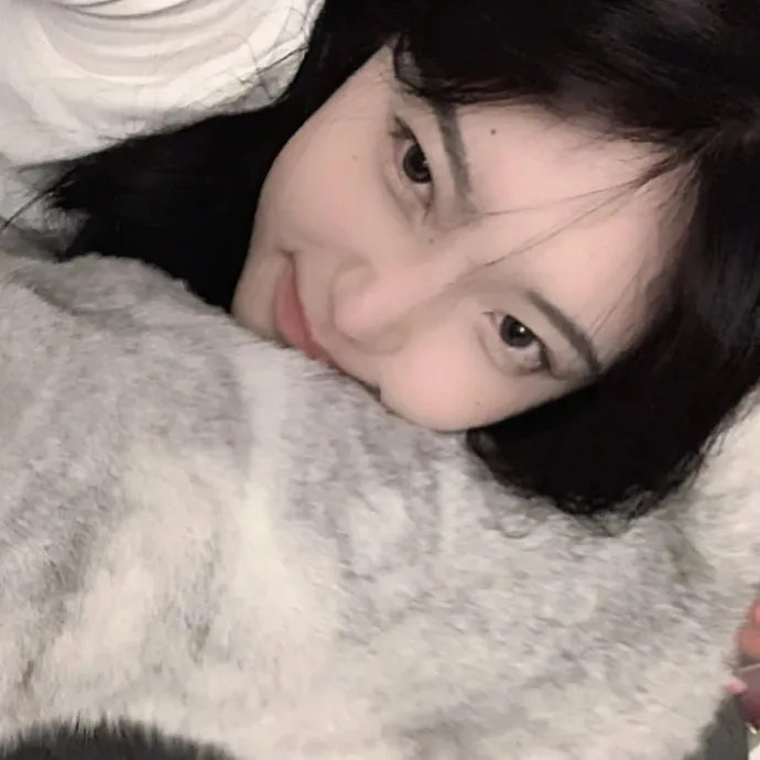 战地黄花分外香